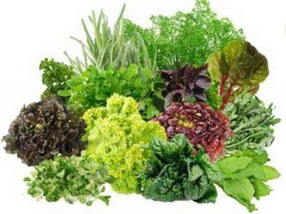 B vitaminas